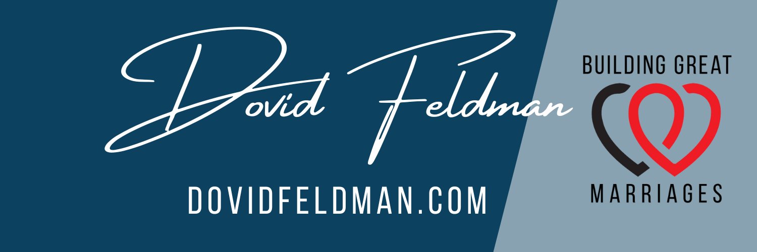 Episode 13: Interview with Dovid Feldman